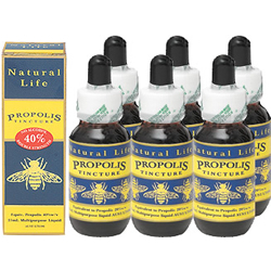 ���Υץ��ݥꥹ40% 25ml 6�ܥ��å�