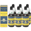 ���Υץ��ݥꥹ20% 25ml 6�ܥ��å�