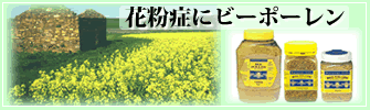 花粉症にビーポーレン